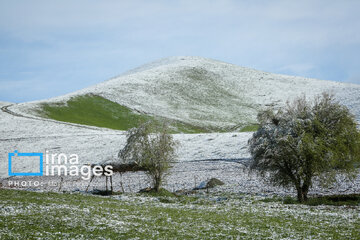In photos: Spring snow in Iran's western province; Kordestan