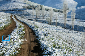 In photos: Spring snow in Iran's western province; Kordestan