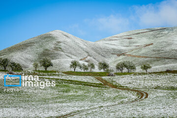 In photos: Spring snow in Iran's western province; Kordestan