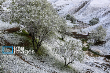 In photos: Spring snow in Iran's western province; Kordestan