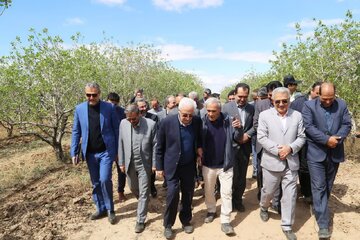 استاندار: محصولات شاخص خراسان‌شمالی نیازمند برندسازی است