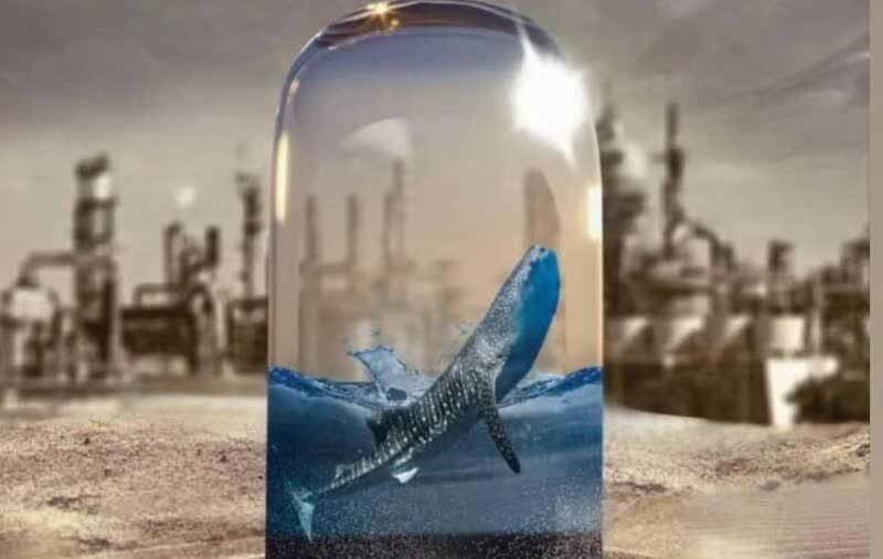 مستند فیلم ساز بوشهری به جشنواره "آسولو" ایتالیا راه یافت مستند فیلم ساز بوشهری به جشنواره "آسولو" ایتالیا راه یافت