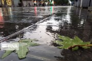 سرما از همدان عبور کرد/ افزایش سه درجه‌ای دما
