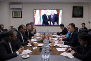 Iran one of the most important strategic regional partners of Tajikistan: Minister