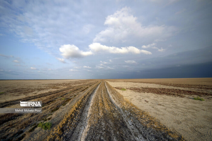 چرا میانکاله نصف شد؟