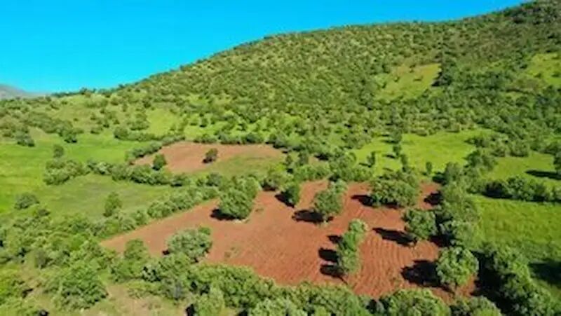رفع تصرف بیش از ۲۶ هزار مترمربع اراضی ملی در شرق گیلان