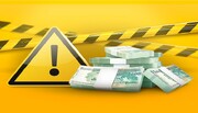 دام‌ به‌جای وام