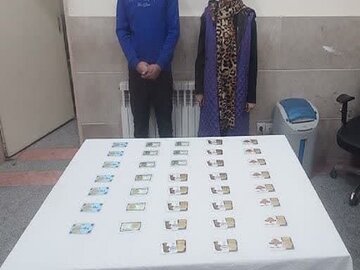 زوج کلاهبردار در زنجان با ۳۸ قطعه سکه تقلبی دستگیر شدند