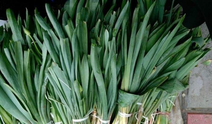 طبیعت را از سفره بیرون بکش!