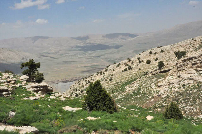 طبیعتگردی بیضابطه بلای جان گیاهان بومی اصفهان