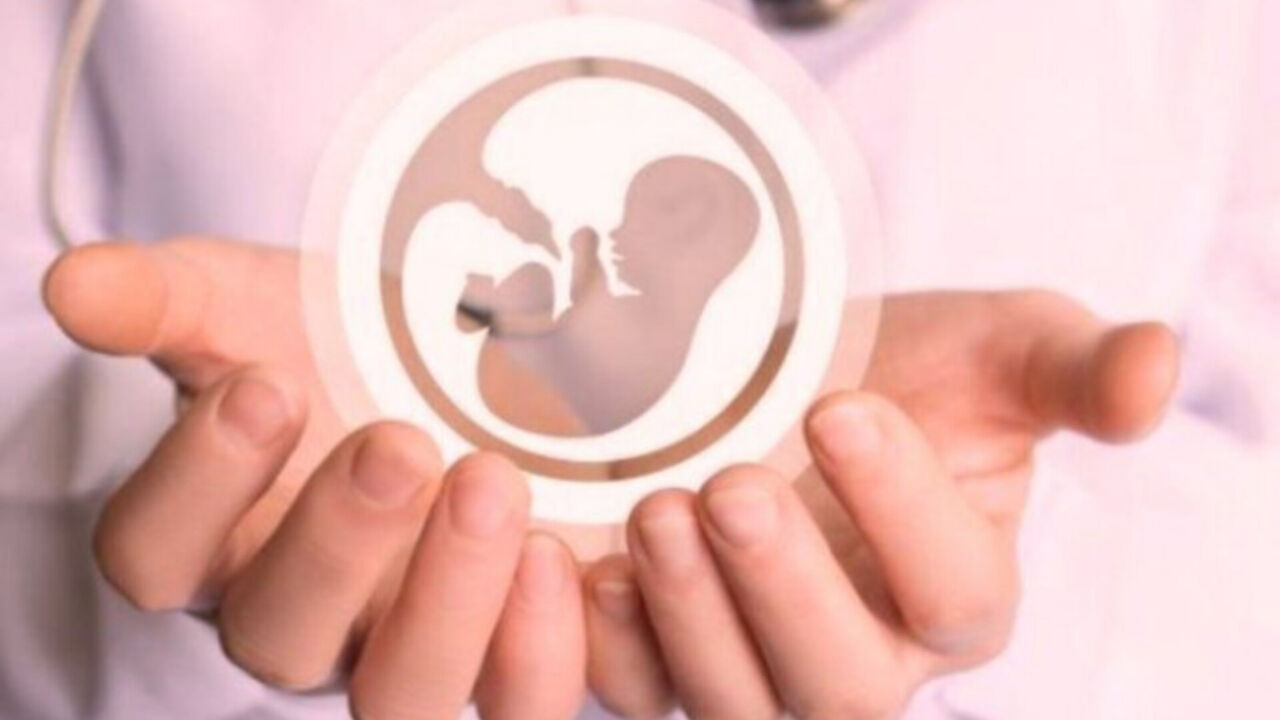 رییس کل دادگستری یزد بر شناسایی و برخورد با سرشاخه‌های سقط جنین در استان تاکید کرد