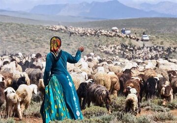 کوچ زود هنگام عشایر به شمال فارس ممنوع