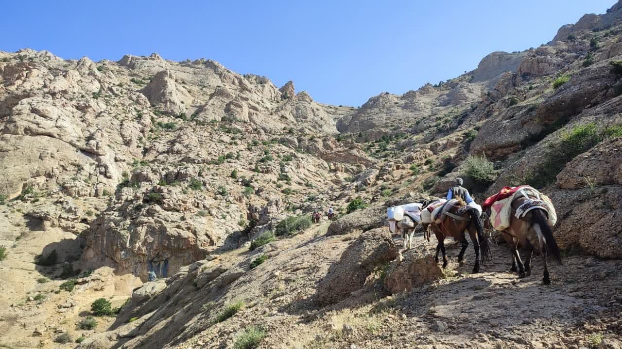 آغاز کوچ بهاره عشایر در قزوین
