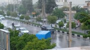 بارش باران بهاری، شیراز و مناطق دیگری از فارس را نوازش داد + فیلم