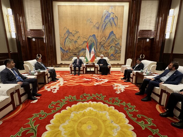 تعامل منطقهای و همسایگی برای مقابله با چالشها یک اصل اساسی است