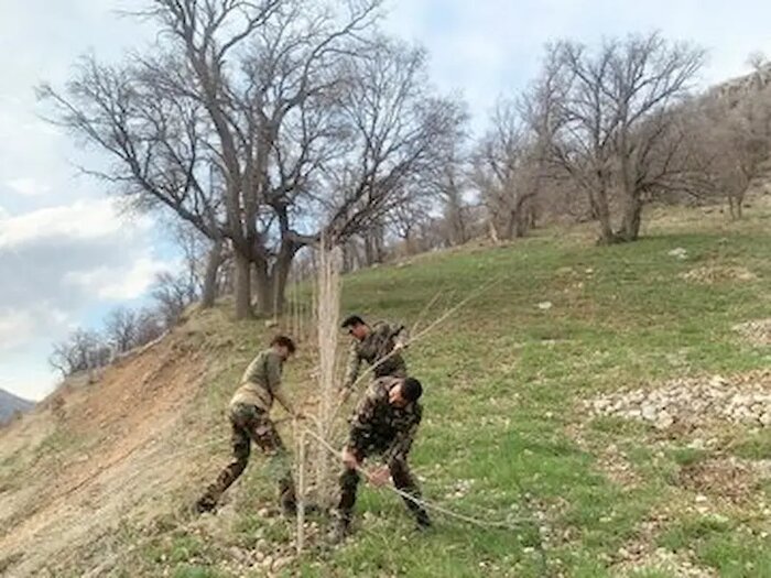 کشف ۲۰۰ کیلوگرم گوشت گراز در رشت