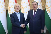 Interior minister and Tajik president discuss developing bilateral ties