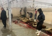 کشتارگاه دام پاوه؛ از مشکلات بهداشتی و محیط‌زیستی تا قول شهردار برای رفع نواقص