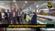 فیلم| بازدید معاون وزیر صمت از واحدهای تولیدی گلستان