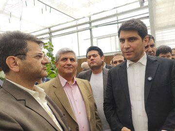 استاندار کردستان: گلخانه قباسرخ بیجار تا پایان سال افتتاح شود