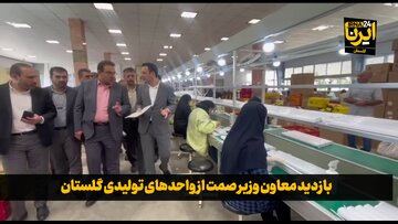 فیلم| بازدید معاون وزیر صمت از واحدهای تولیدی گلستان