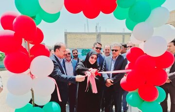 معاون وزیر آموزش و پرورش: دولت چهاردهم، فرصت طلایی توسعه نظام تعلیم و تربیت است