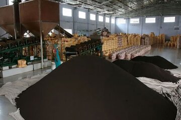 کشف ۱۲ تن چای احتکاری در ورامین