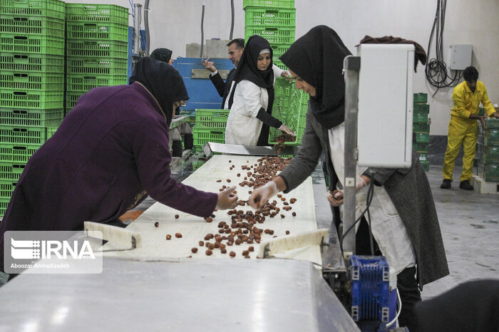 اینجا چراغی روشن است