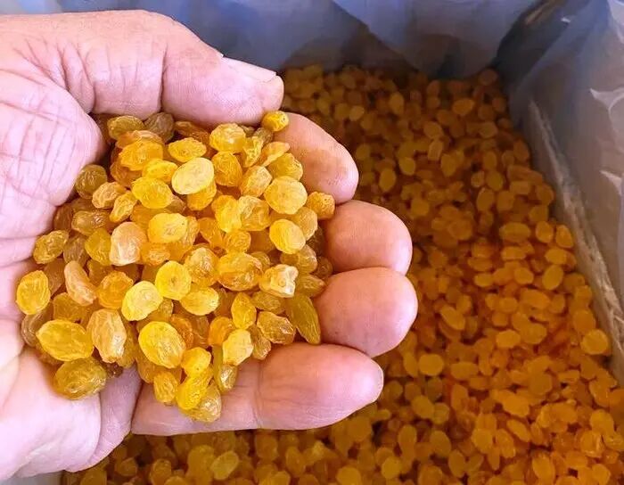 جای خالی توسعه صنایع تبدیلی کشاورزی در ابهر