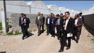 فرونشست زمین در شهرستان خانمیرزا چهارمحال و بختیاری ۱۰ سانتیمتر است