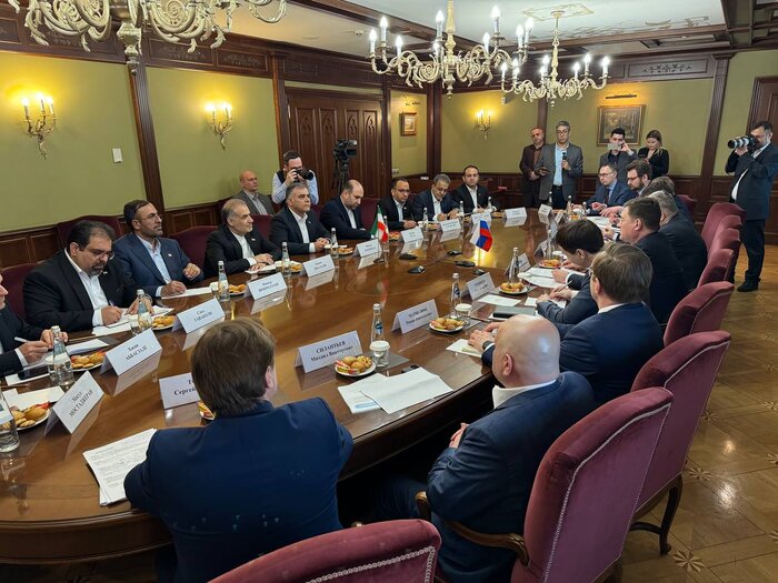 دیدار وزیر نفت با معاون نخستوزیر روسیه در مسکو