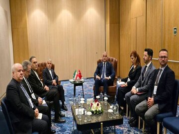 صالحی‌امیری: پل فرهنگی ایران و ترکیه باید به توسعه گردشگری ختم شود