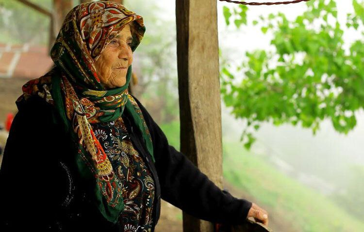 یادی از دو سینماگر فقید و پرتره زنی در دل جنگل؛ مستندهایی برای تماشای آنلاین