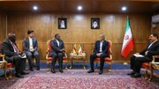 L’Iran et le Zimbabwe condamnent les crimes du régime sioniste