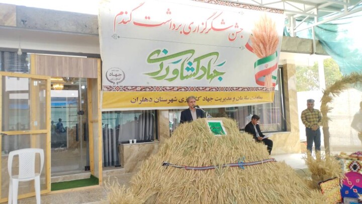 دهلران، قطب کشاورزی ایلام؛ پیشبینی برداشت ۱۵۰ هزار تن گندم