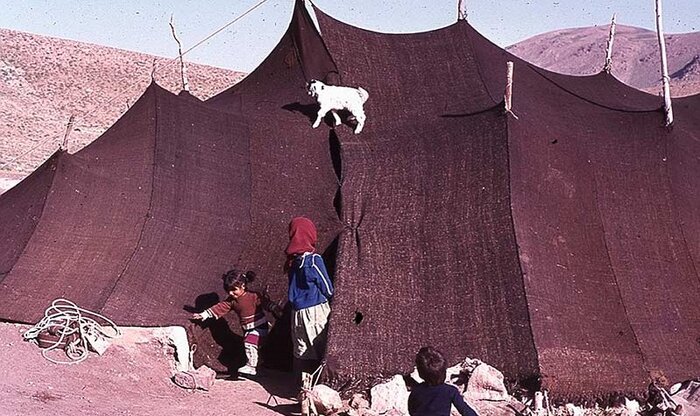 زندگی زنان عشایر مهدیشهر، رنجی نادیده میان ییلاقها و قشلاقها