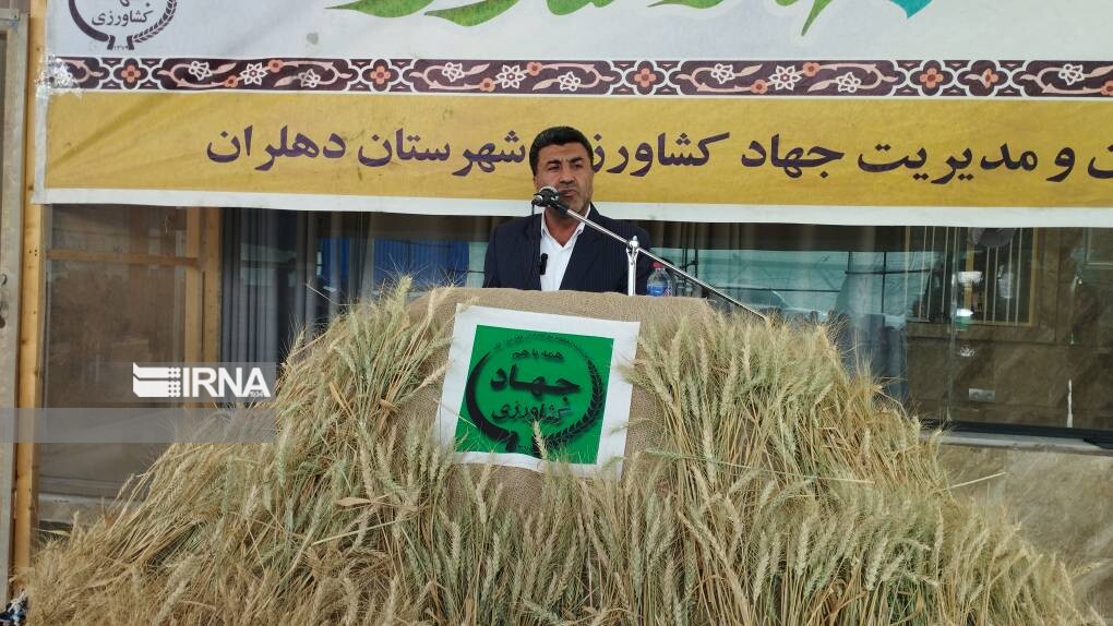 دهلران، قطب کشاورزی ایلام؛ پیشبینی برداشت ۱۵۰ هزار تن گندم دهلران، قطب کشاورزی ایلام؛ پیشبینی برداشت ۱۵۰ هزار تن گندم
