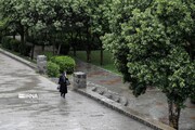 هشدار نارنجی هواشناسی همدان نسبت به رگبار باران و باد شدید