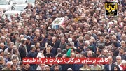 فیلم| کاظم، پرستوی هیرکانی؛ شهادت در راه طبیعت