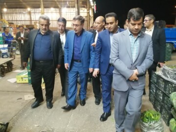 فیلم/ رصد شبانگاهی قیمت و کیفیت بازار میوه و تره بار شیراز با حضور معاون اقتصادی استاندار