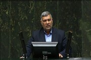 تاکید نماینده کرمان بر اقدام عملی مجلس و دولت برای تحقق شعار سال