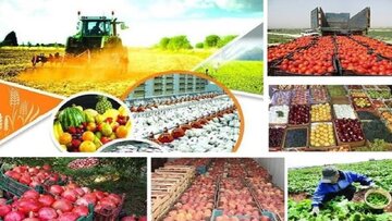 کم کردن فاصله مزرعه تا سفره، از اهداف دولت وفاق است