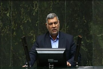 تاکید نماینده کرمان بر اقدام عملی مجلس و دولت برای تحقق شعار سال