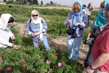 ظرفیت‌های سرمایه‌گذاری مازندران چشم ایتالیایی‌ها را گرفت
