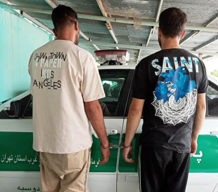 آزادسازی ۳ هکتار زمین کشاورزی در اسلامشهر/پلمب ۱۴ واحد صنفی متخلف در بهارستان