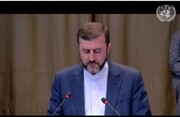Gharibabadi: Die Verbrechen des israelischen Regimes gegen die Palästinenser sind ein eindeutiger Völkermord