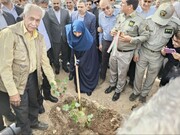 شهردار:‌ کریدور سبز شهری با کاشت ۱۰ هزار اصله نهال در خرم‌آباد اجرا می‌شود