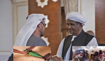 سازمان ملل درباره ارتباط امارات با سلاح‌های توقیفی در سودان تحقیق می‌کند