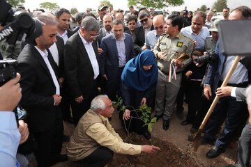 معاون رئیس جمهور: کانون‌های داخلی گرد و غبار کشور مهار می‌شود