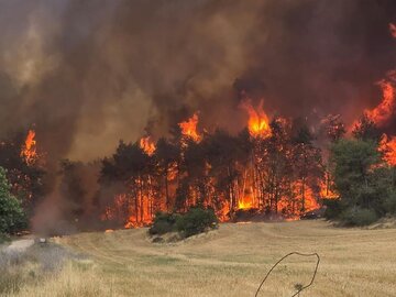 Incendie de grande ampleur à Qods occupée : le régime sioniste demande une aide internationale
